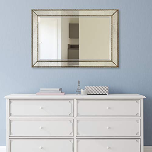 Antique Wall Mirror for Bathroom, Bedroom, Living Room, Ready to Hang, 24" x 54" D519