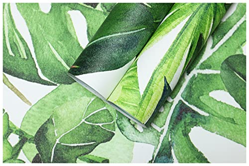 Tropical Palm Leaves Peel and Stick Wallpaper Removable U467702