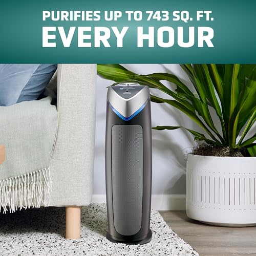 Air Purifier with HEPA Filter for Large Rooms, Removes Smoke, Pet Dander, Pollen, and Odors T1048