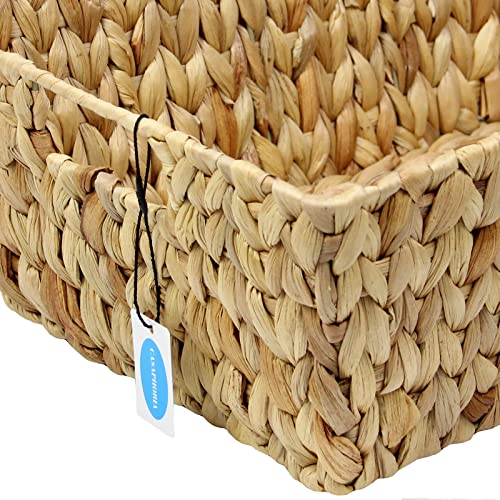 Large Square Hyacinth Storage Baskets with Handles, 2-Pack D852889