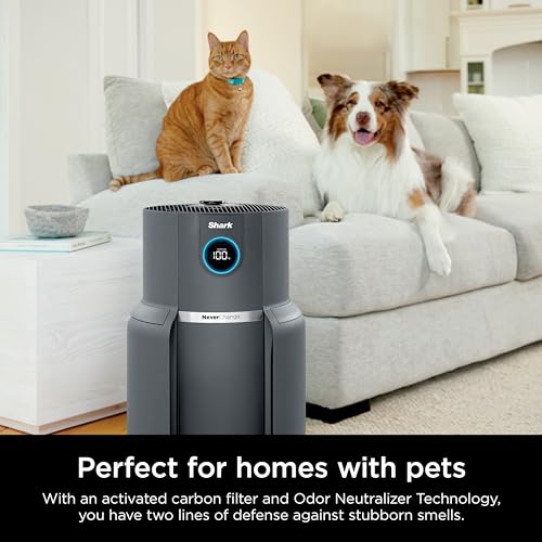 Air Purifier for Home Large Room, HEPA Filter, Covers 650 Sq. Ft, Removes Dust & Allergens P98966