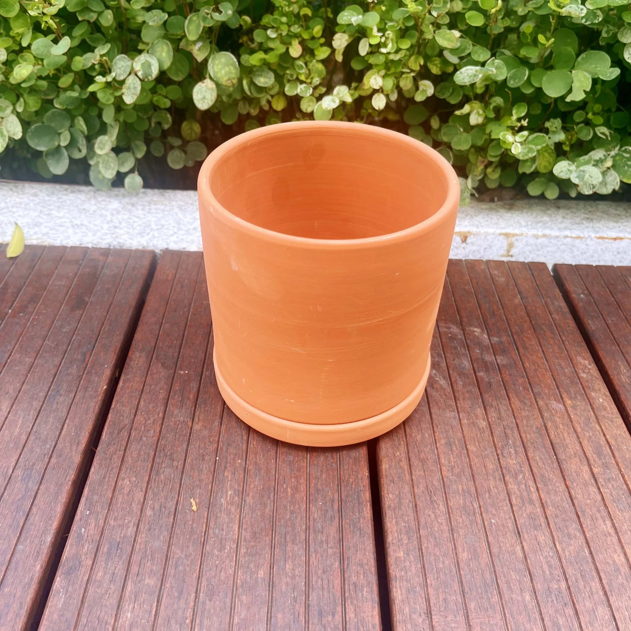Terracotta Flower Pots with Drainage Holes, 3 Count F4799