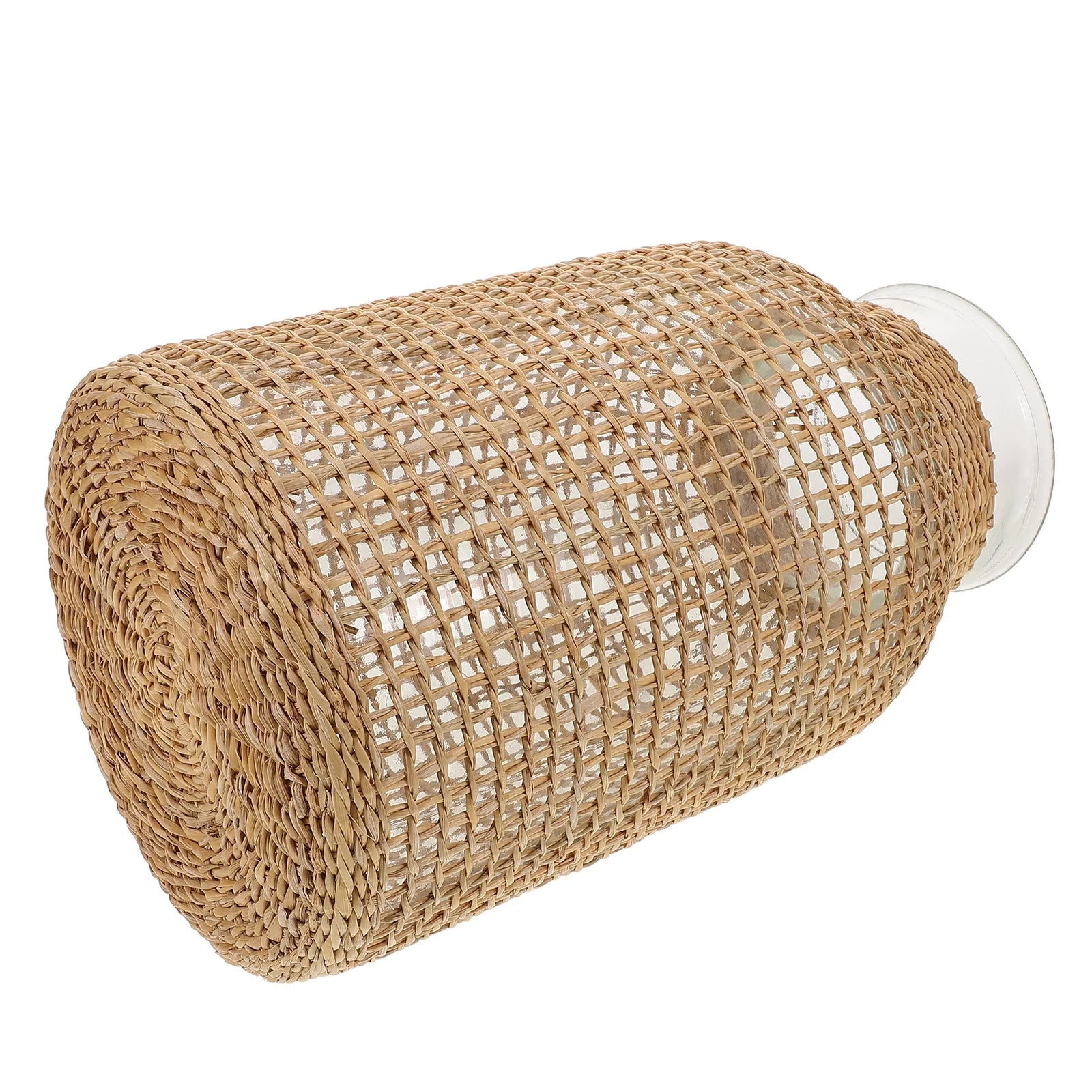 Rattan Glass Vase Flower Pot Centerpiece M5394