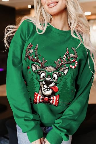 Funny Reindeer Christmas Sweatshirt Oversized Pullover K664011