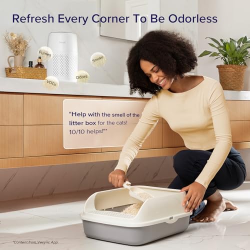 Air Purifier for Bedroom Home, 3-in-1 Filter Cleaner with Fragrance Sponge, Filters Smoke, Allergies, Pet Dander, Odor, Dust, Portable T545